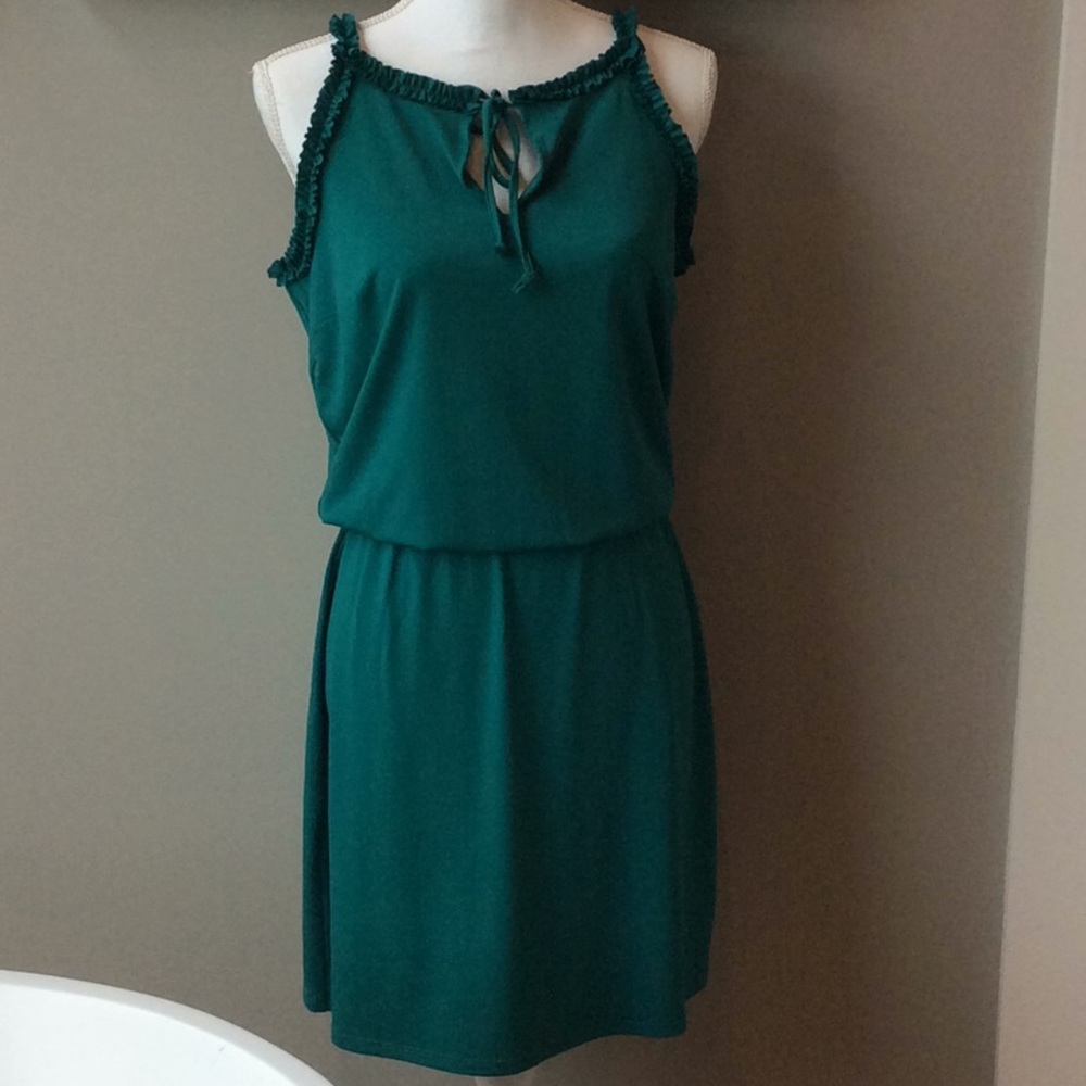 WHBM Dress - Picture 9 of 9